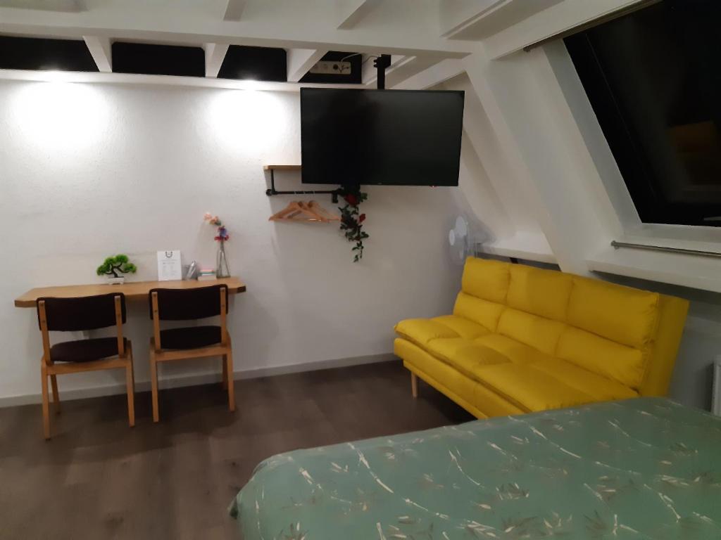 TV a/nebo společenská místnost v ubytování Pension Het Hoefijzer