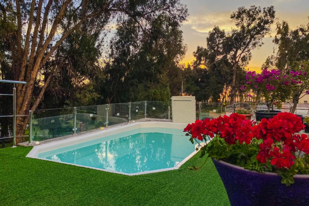 una piscina en un patio con flores rojas en G Hotels Collect en Arequipa