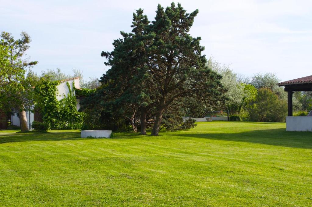 einen grünen Garten mit einem Baum und einem Pavillon in der Unterkunft MAS MLS in Saintes-Maries-de-la-Mer