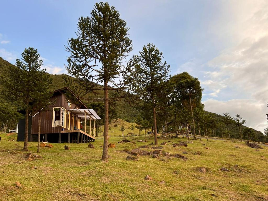 a small house in a field with trees at Cabana Refúgio - Pousada Colina dos Ventos in Urubici