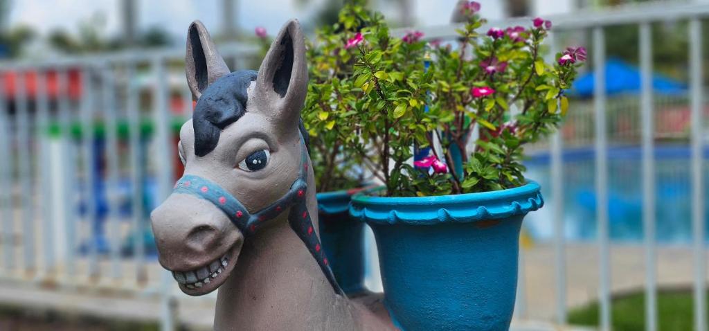 Animales en el hotel o alrededores