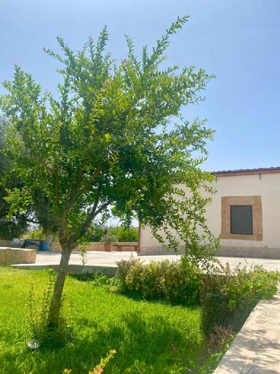 Zahrada ubytování B&B Le Balate