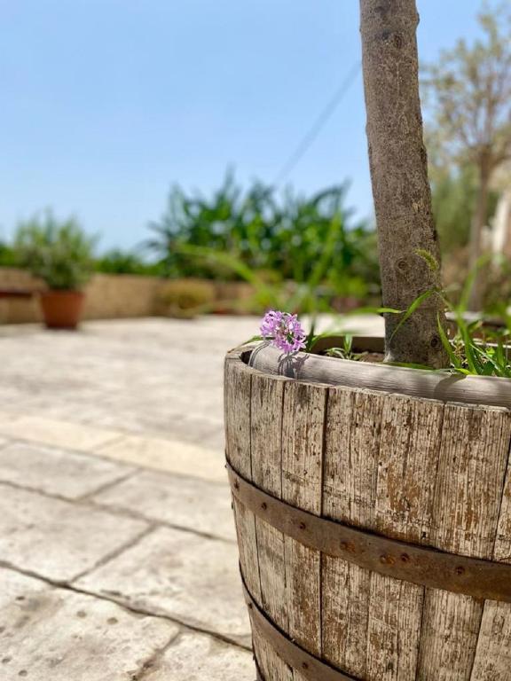 Fotografie z fotogalerie ubytování B&B Le Balate v destinaci Augusta