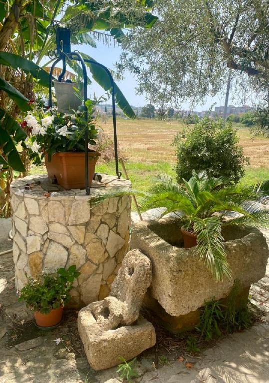Zahrada ubytování B&B Le Balate