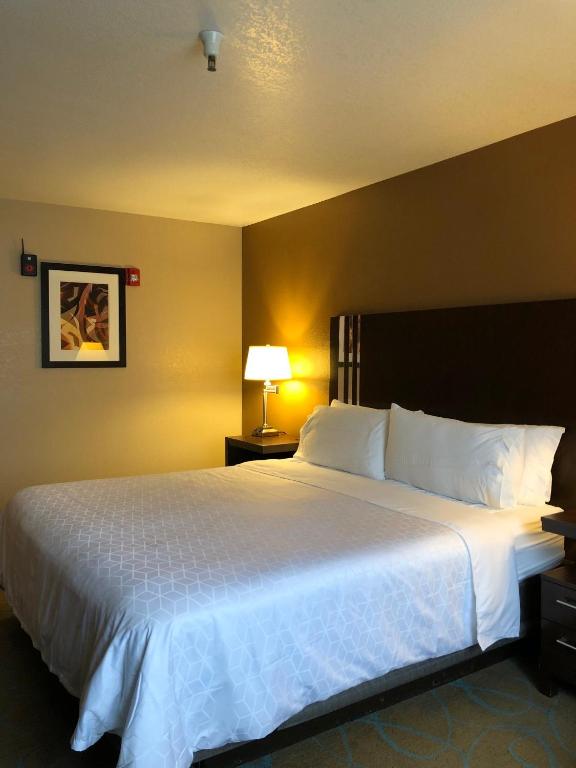 Postel nebo postele na pokoji v ubytování Holiday Inn Express Winnemucca by IHG