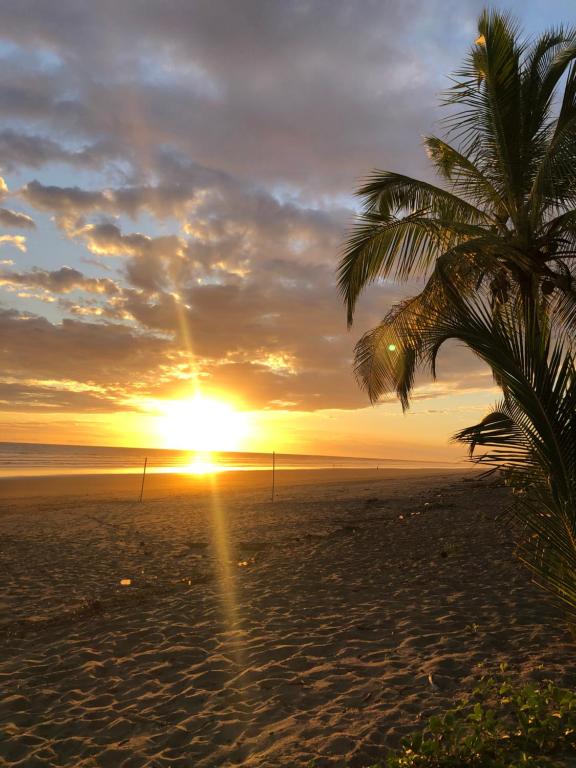 um pôr-do-sol numa praia com uma palmeira em Casa pacifico em Las Lajas