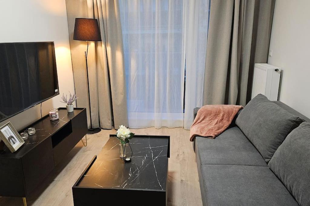 Sala de estar con sofá gris y TV en Villa Neptun Apartament nad morzem Gdańsk Wyspa Sobieszewska, en Gdansk
