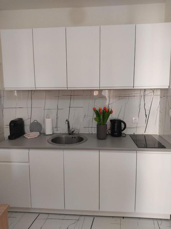 Kuchyň nebo kuchyňský kout v ubytování Apartman Lenka