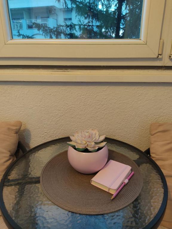 Fotografie z fotogalerie ubytování Apartman Lenka v destinaci Banja Koviljača