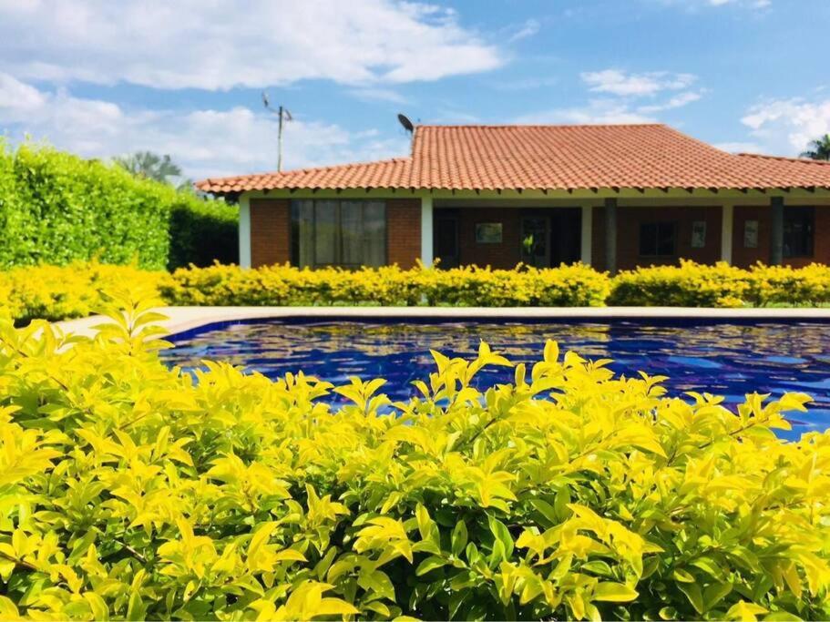 a house with a swimming pool and yellow flowers at Disfrute cabaña cálida, con piscina y zonas verdes in Viterbo