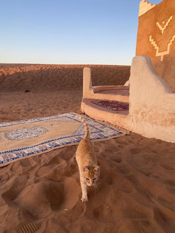 Foto dalla galleria di Bivouac Erg Chegaga Nomademoi a El Gouera