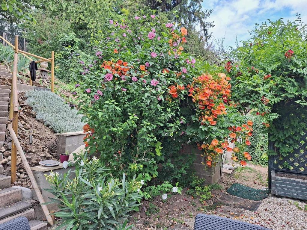 a garden with colorful flowers in a yard at Le Sapin Parasol - Maison pour 7 pers. in Lussault-sur-Loire