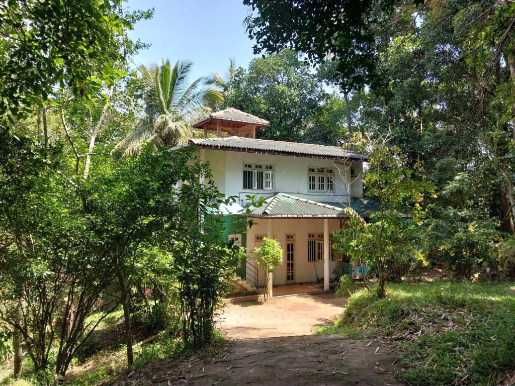 a house in the middle of a forest at Kandy River Breeze in Kandy