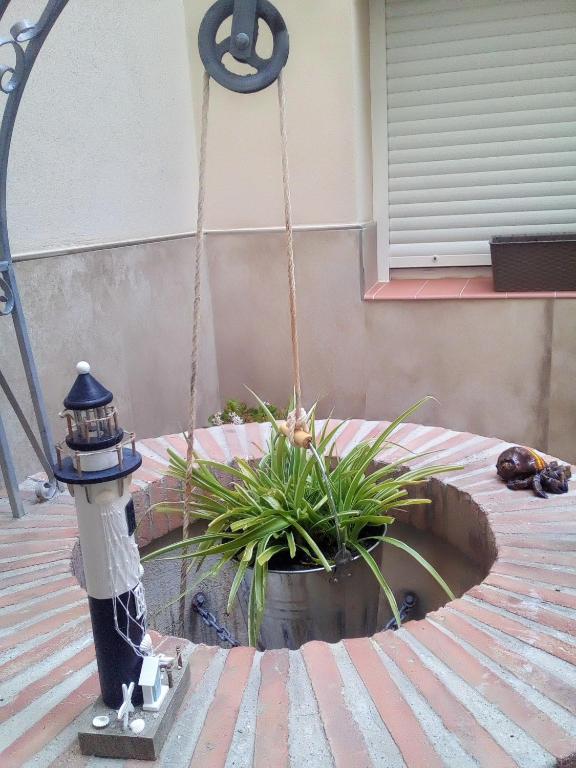 A garden outside Casa María