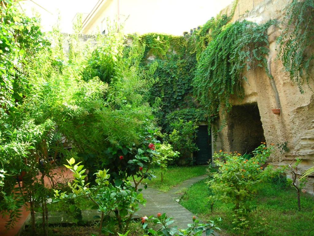 法維尼亞納的住宿－Il Giardino Ipogeo，常春藤生长在建筑物一侧的花园