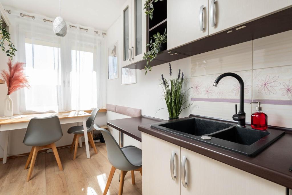 Kuchyňa alebo kuchynka v ubytovaní Jonagold Apartment Metro Raclawicka