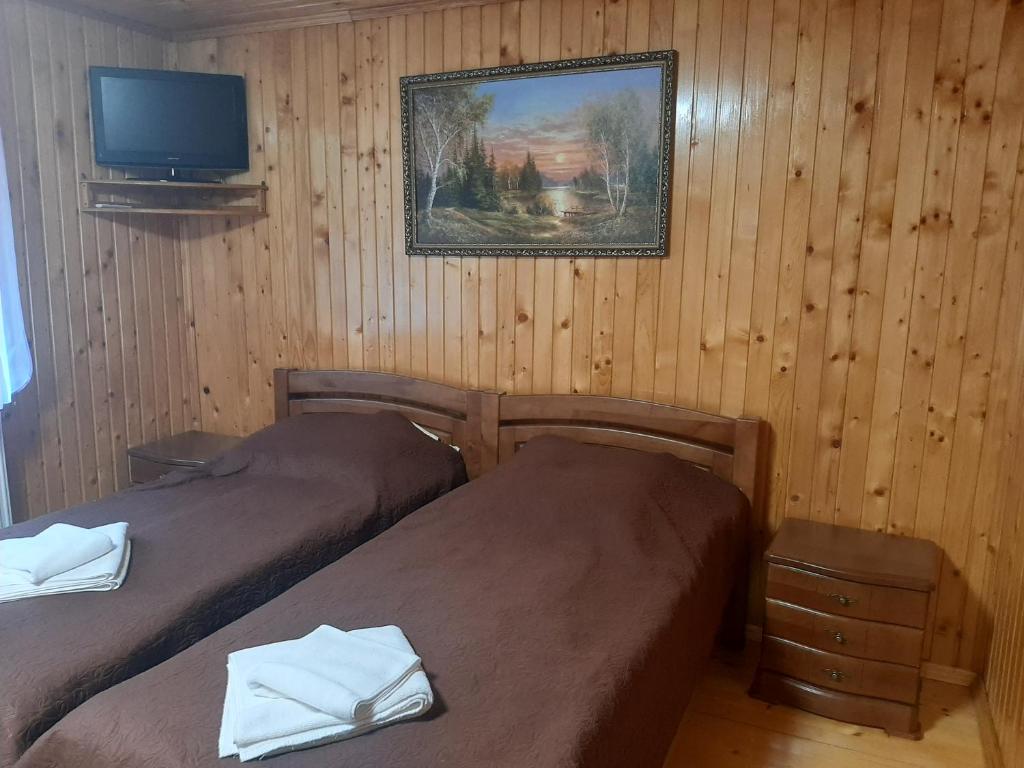 TV a/nebo společenská místnost v ubytování Арніка