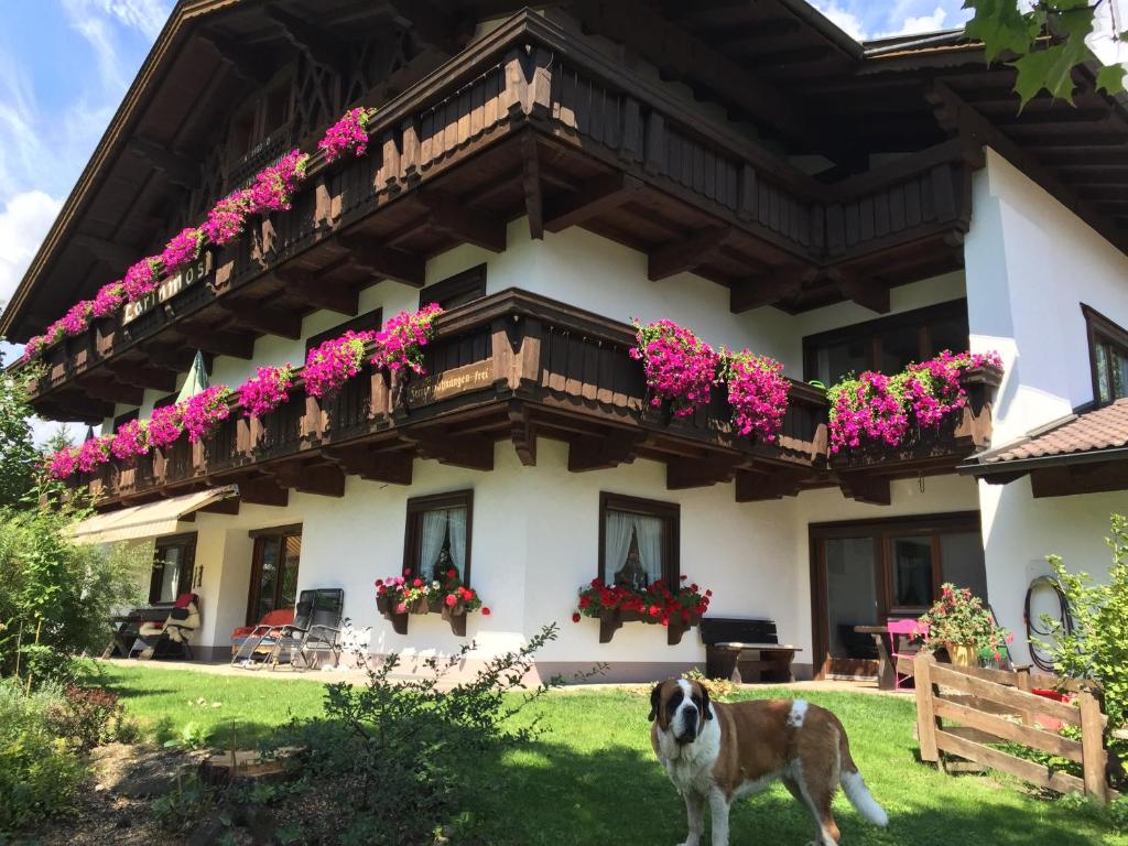 Zahrada ubytování Ferienhaus Larinmos