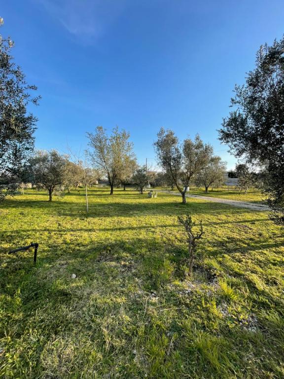 19th century Trullo Raeda in the middle of nature - Villa De Una Habitación