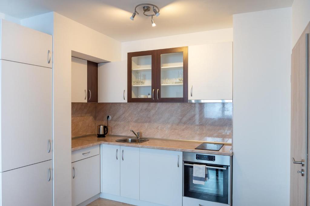 Kuchyň nebo kuchyňský kout v ubytování Sunny 1BDR Apartment near Center