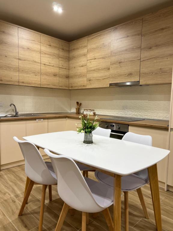 Kuchyň nebo kuchyňský kout v ubytování SKetch Apartments 1