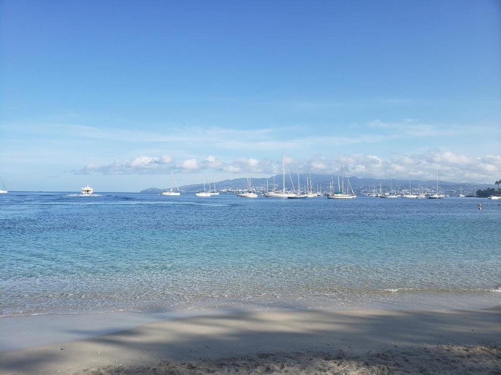 Grand studio Les pieds dans l'eau aux 3 îlets, Les TroisÎlets