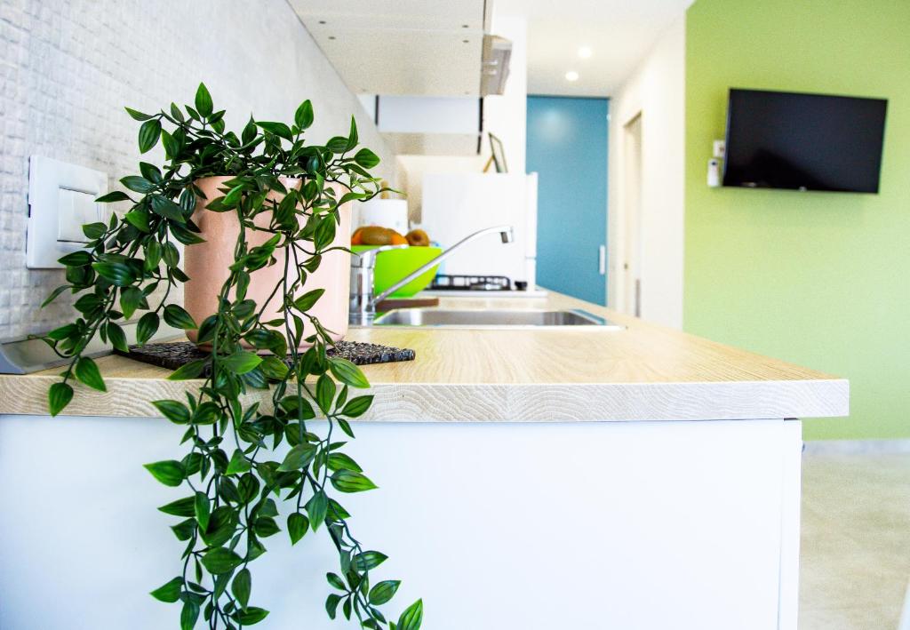 A television and/or entertainment centre at Appartamento Perla Verde, WiFi e Air Con