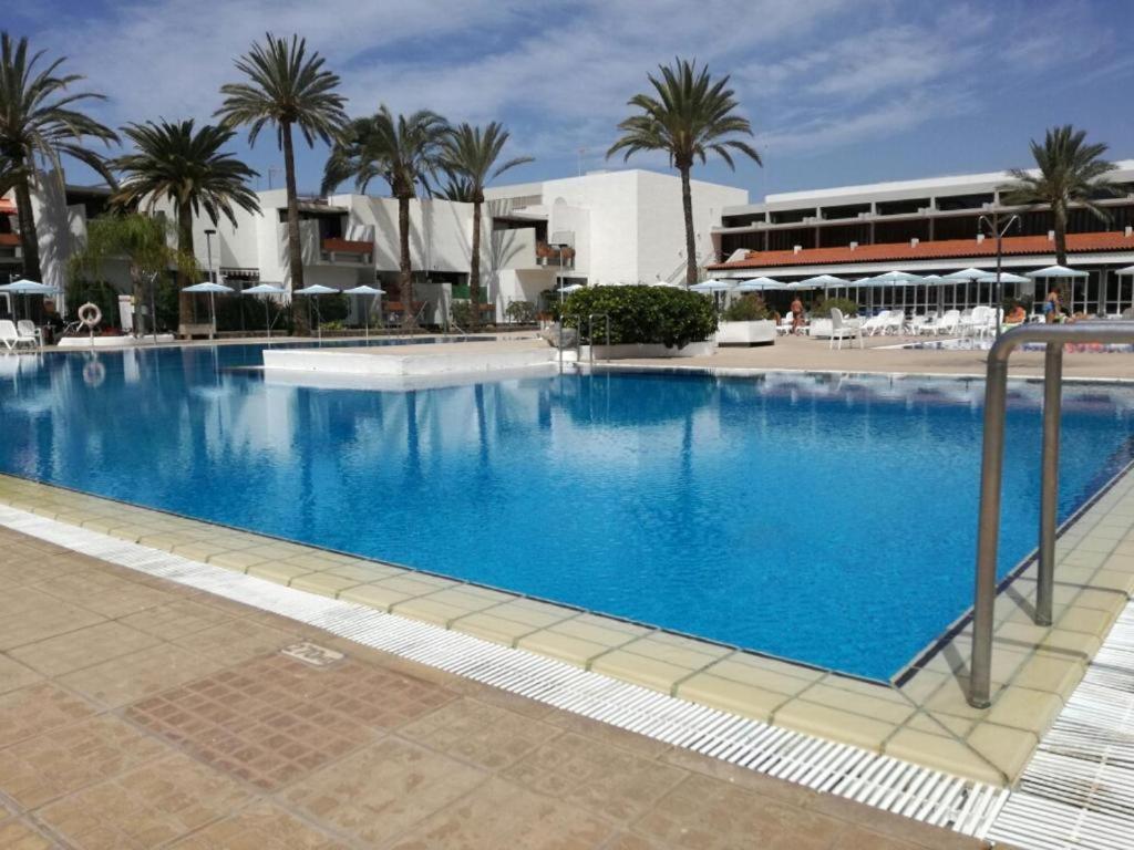 een groot blauw zwembad met palmbomen en een gebouw bij Aaron Beautifull House in Arona