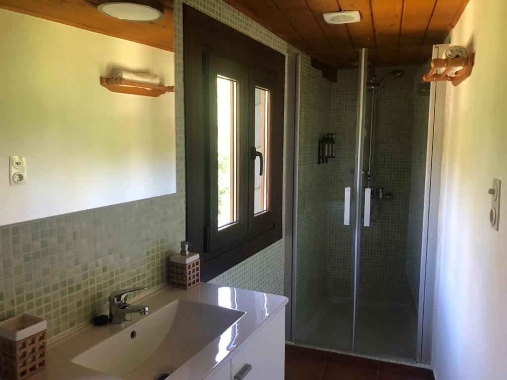 y baño con lavabo y ducha con lavamanos. en CASA DA LOAIRA, en Quiroga