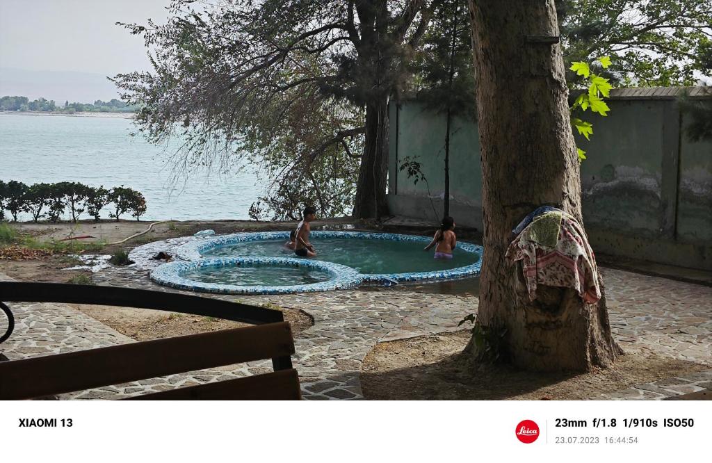een groep mensen in een zwembad naast een boom bij Вилла in Kairakum