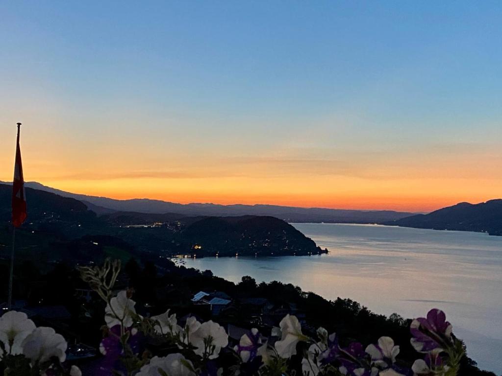a view of a body of water at sunset at Eva&#39;s Seeblick in Krattigen