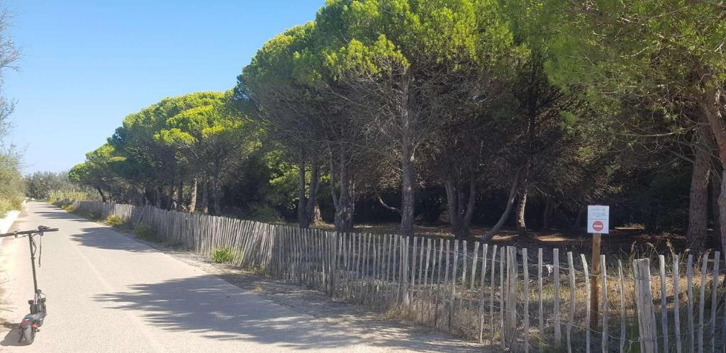 a fence on the side of a road with trees at Anthony in Agde