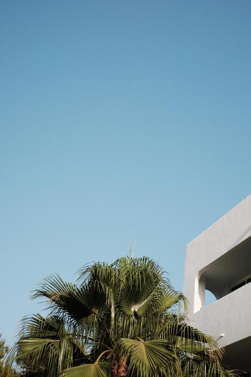 Foto da galeria de Prinsotel Alba & Spa em Cala d´Or