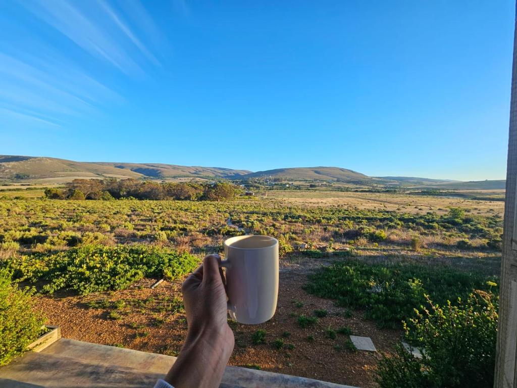 a person holding a cup of coffee looking out a window at Slow Track Farm in Baardskeerdersbos
