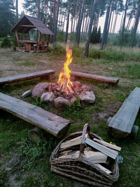 Fotografia z galérie ubytovania Pod Czarnym Dzięciołem - dom z widokiem i prywatną balią v destinácii Mazówki