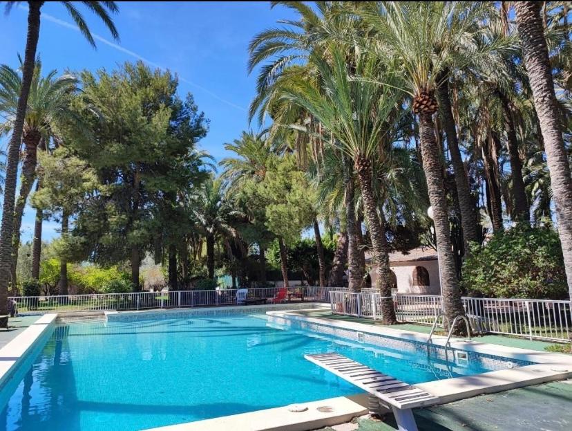 a swimming pool with palm trees in a resort at PINK LEMON SUITs in Elche