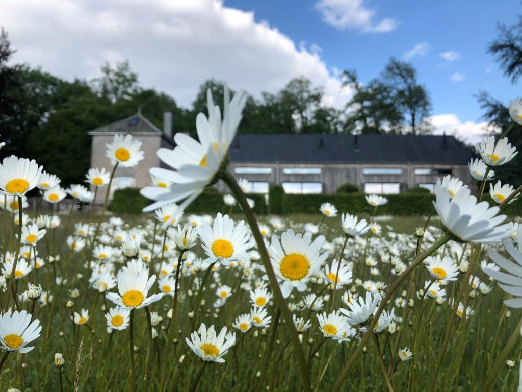 Zahrada ubytování Domaine De L'Ardoisiere