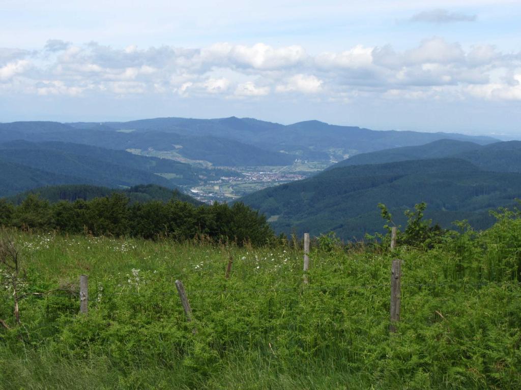 Příroda nedaleko ubytování v soukromí