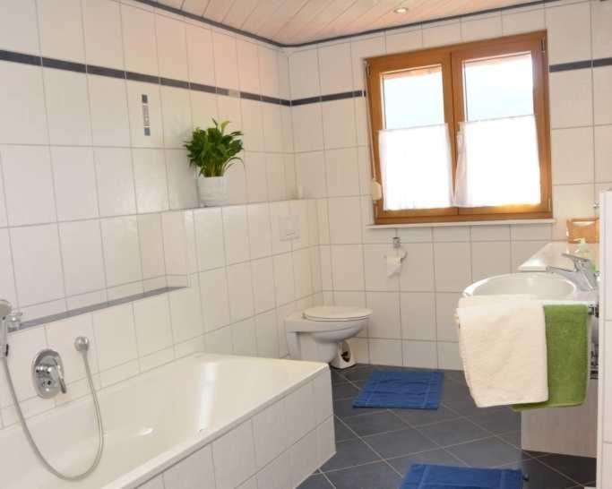 Koupelna v ubytování Mosertonihof