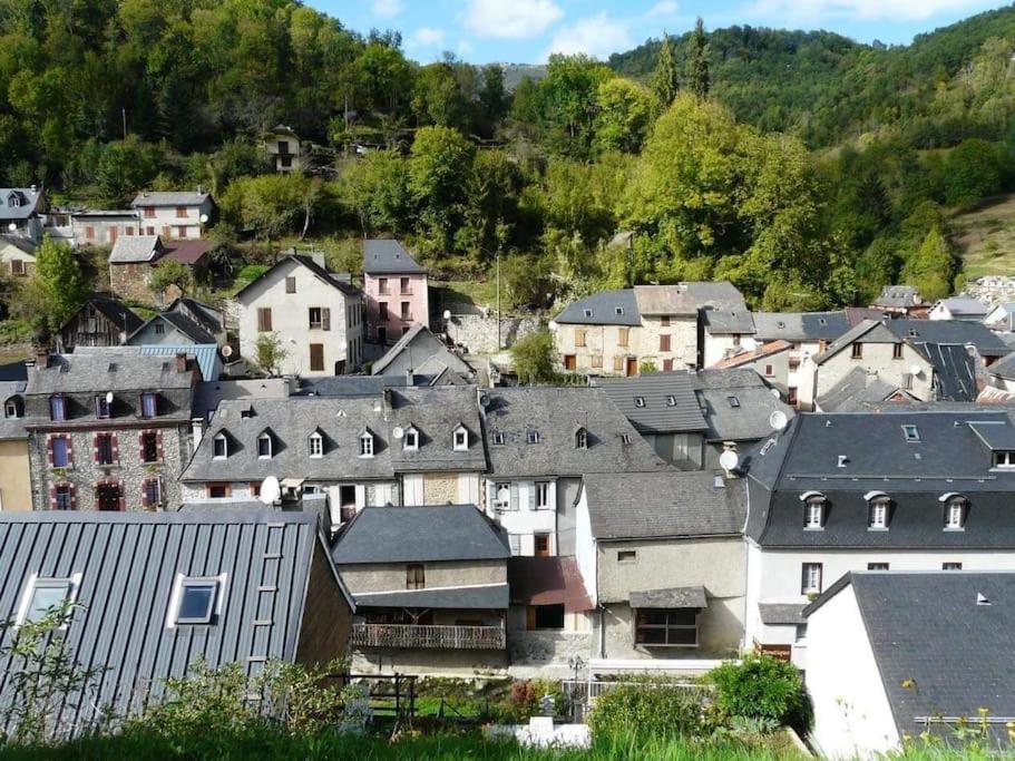 un groupe de maisons et de bâtiments dans une ville dans l'établissement Maison de village en montagne, à Saint-Lary