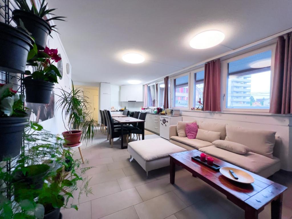 Gery's Camp - Resim 13