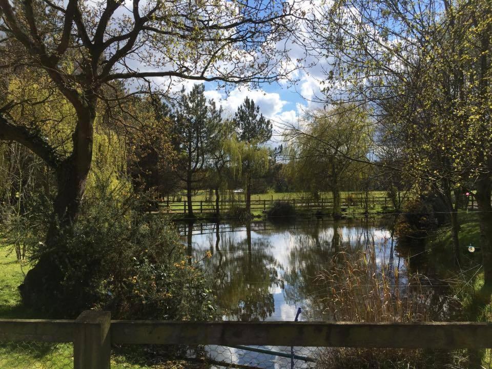 a pond in a park with trees and a fence at Woodman's Farm in Norwich