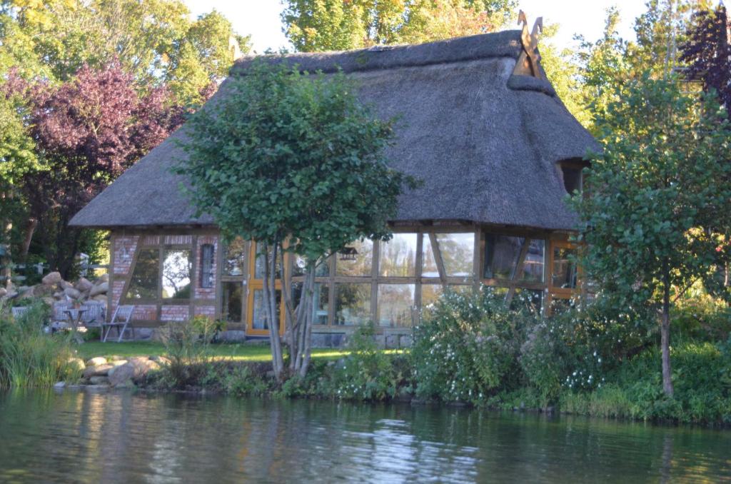 a house with a thatched roof next to a pond at Reetdachkate auf Gestüt Schierensee in Grebin
