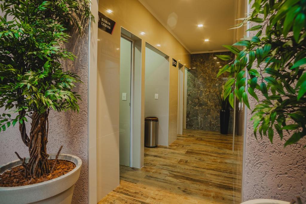 Fotografie z fotogalerie ubytování Hotel Yvera Cataratas v destinaci Puerto Iguazú
