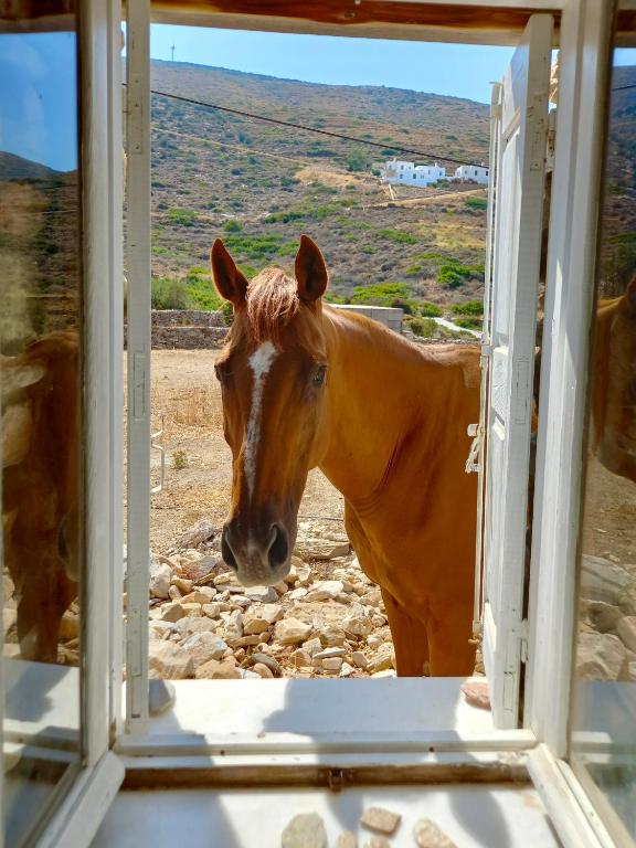 Fotografie z fotogalerie ubytování The Artists House - Atelier Suite v destinaci Agia Theodoti