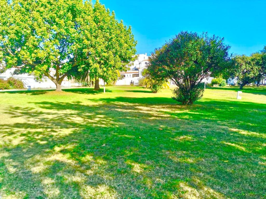 a field of grass with trees in it at Resort Albufeira T1, Praia da Oura in Albufeira