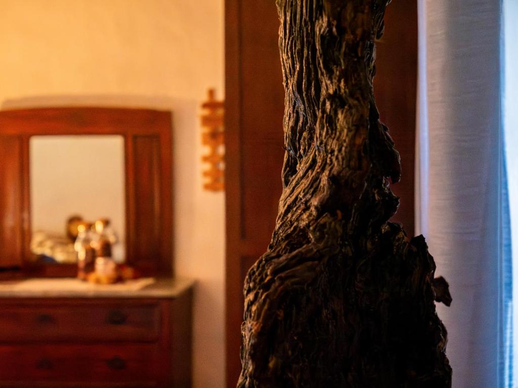 Fotografie z fotogalerie ubytování Casa Tullio v destinaci Sassetta