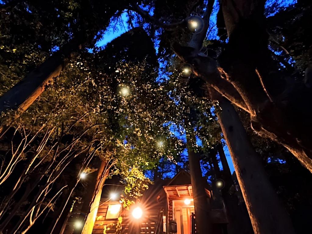 una vista nocturna de una casa con luces en los árboles en chichinpuipui house en Kirishima