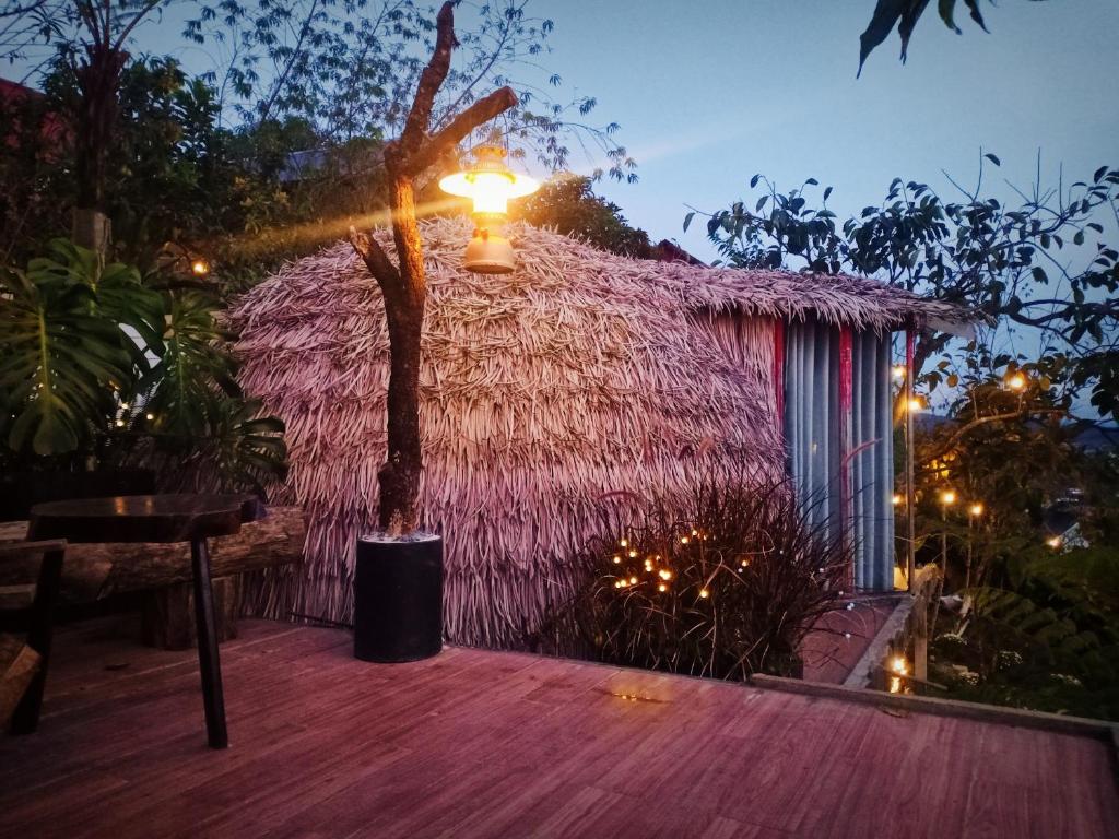 Zahrada ubytování Natural Home Đà Lạt