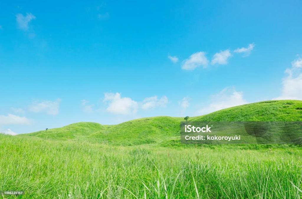 einen grünen Hügel mit blauem Himmel und grünem Gras in der Unterkunft Finca en Bolombolo in Bolombolo